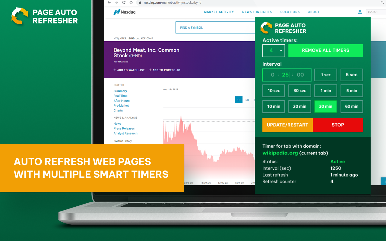 Page Auto Refresh timer controls, enlarged from the supplied product image